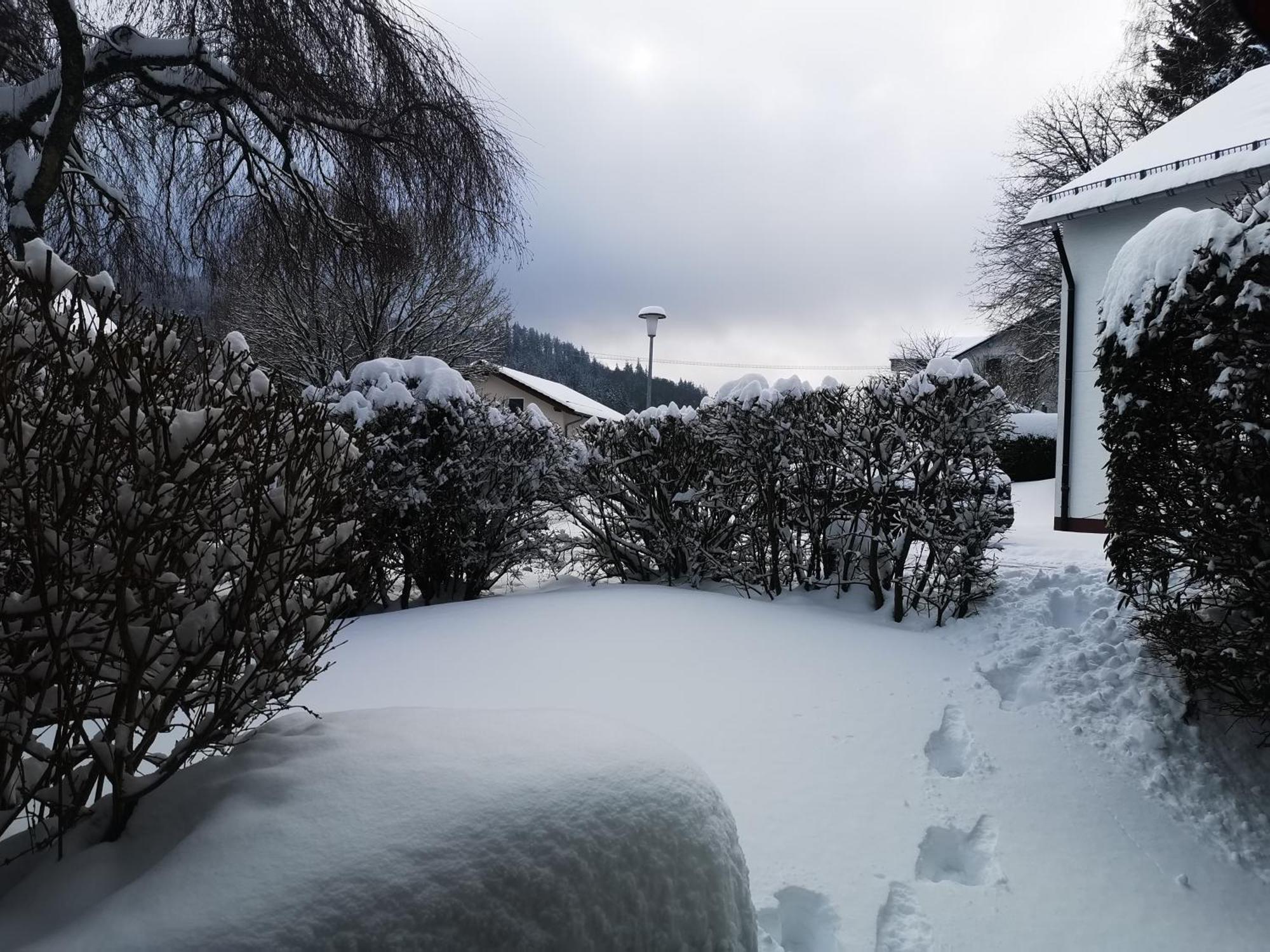 Fewo Kuhlmann Willingen  Exteriör bild