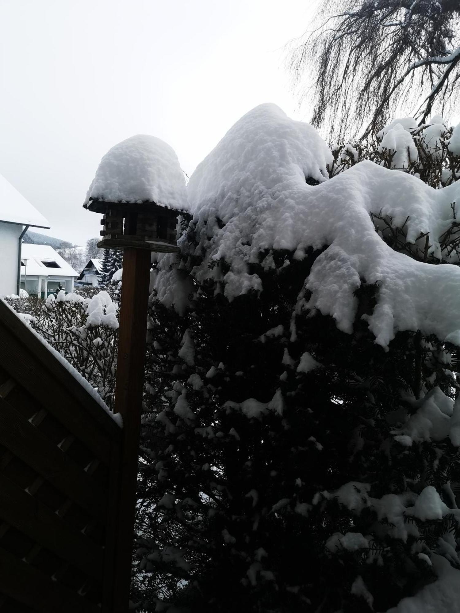 Fewo Kuhlmann Willingen  Exteriör bild
